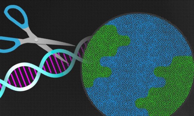 Mammoth Biosciences aims to be Illumina for the gene editing generation