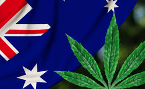 MPX Australia Awarded Medical Cannabis Licence in Australia