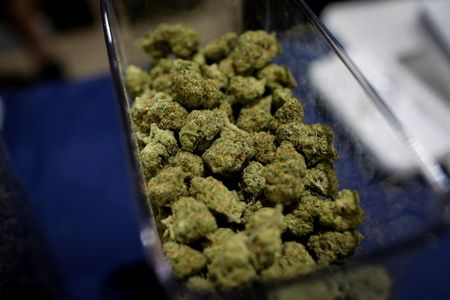 Trulieve Cannabis Misses Revenue Estimates on Weak Demand