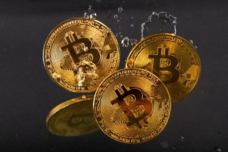 Cryptoverse: Busy Bitcoin Births New Breed of Crypto